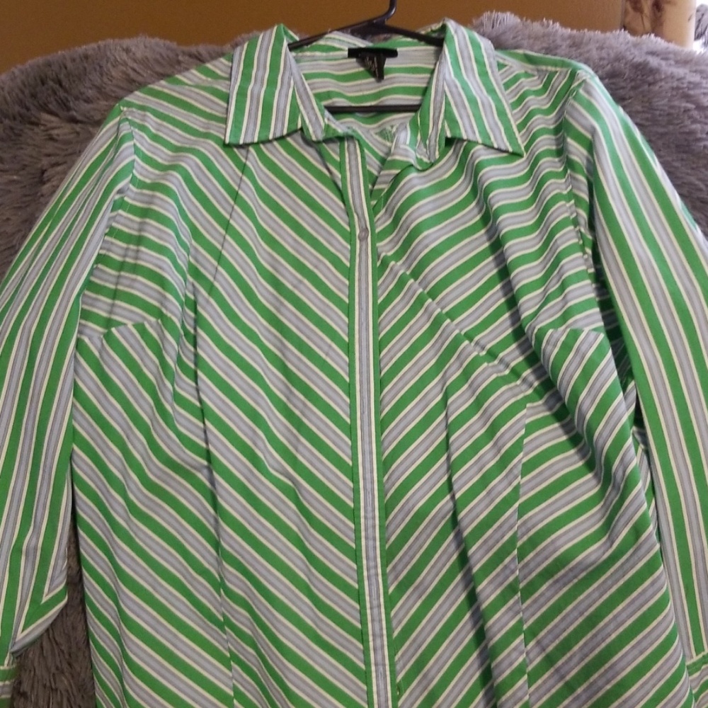 2 for 1  lane Bryant blouse and green camisole.